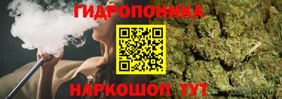 герыч Кингисепп