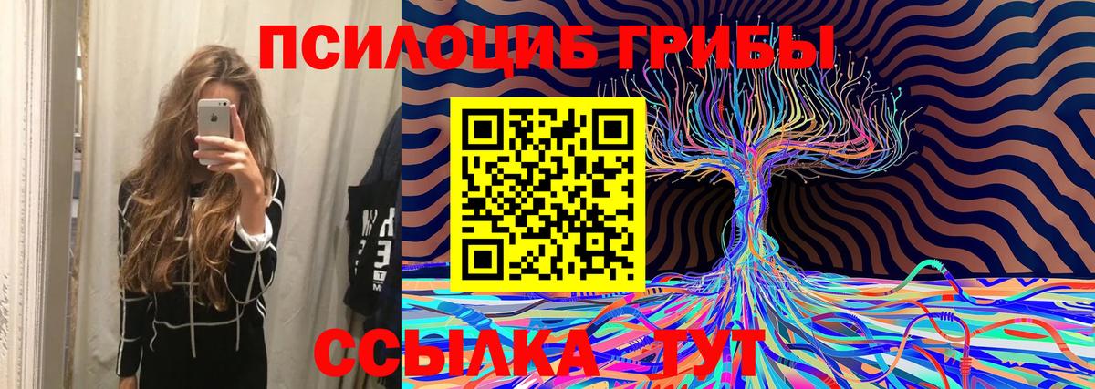 Галлюциногенные грибы Psilocybine cubensis Карталы